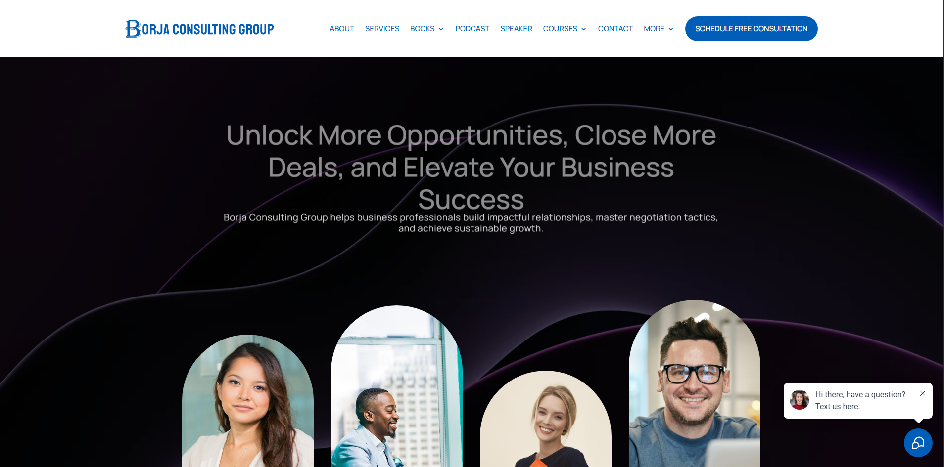Borja Consulting website