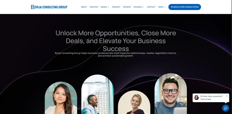 Borja Consulting website