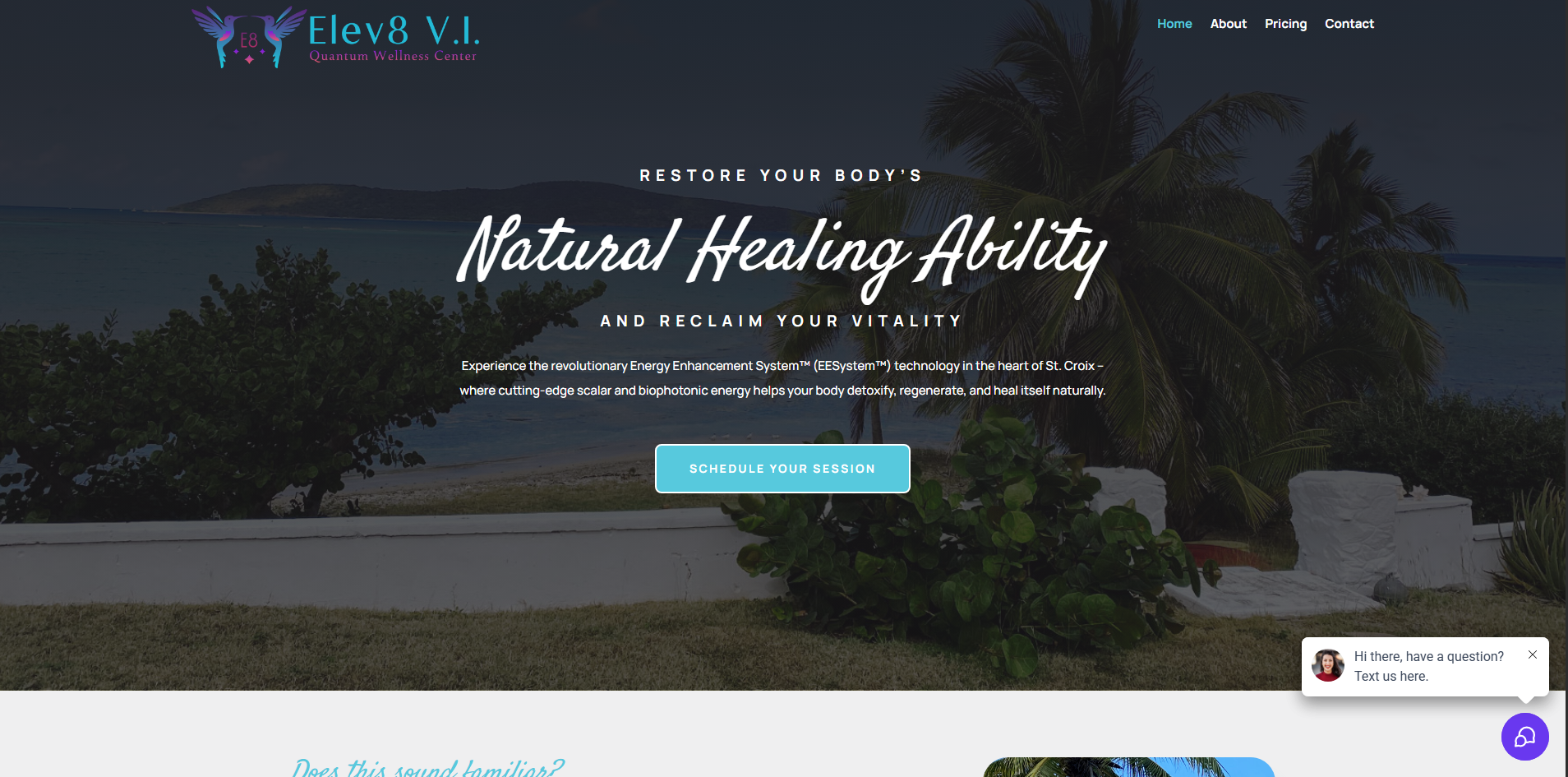Elev8 V.I. website