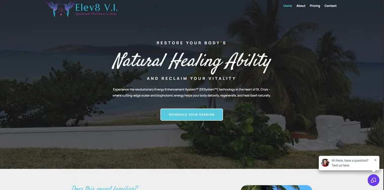 Elev8 V.I. website