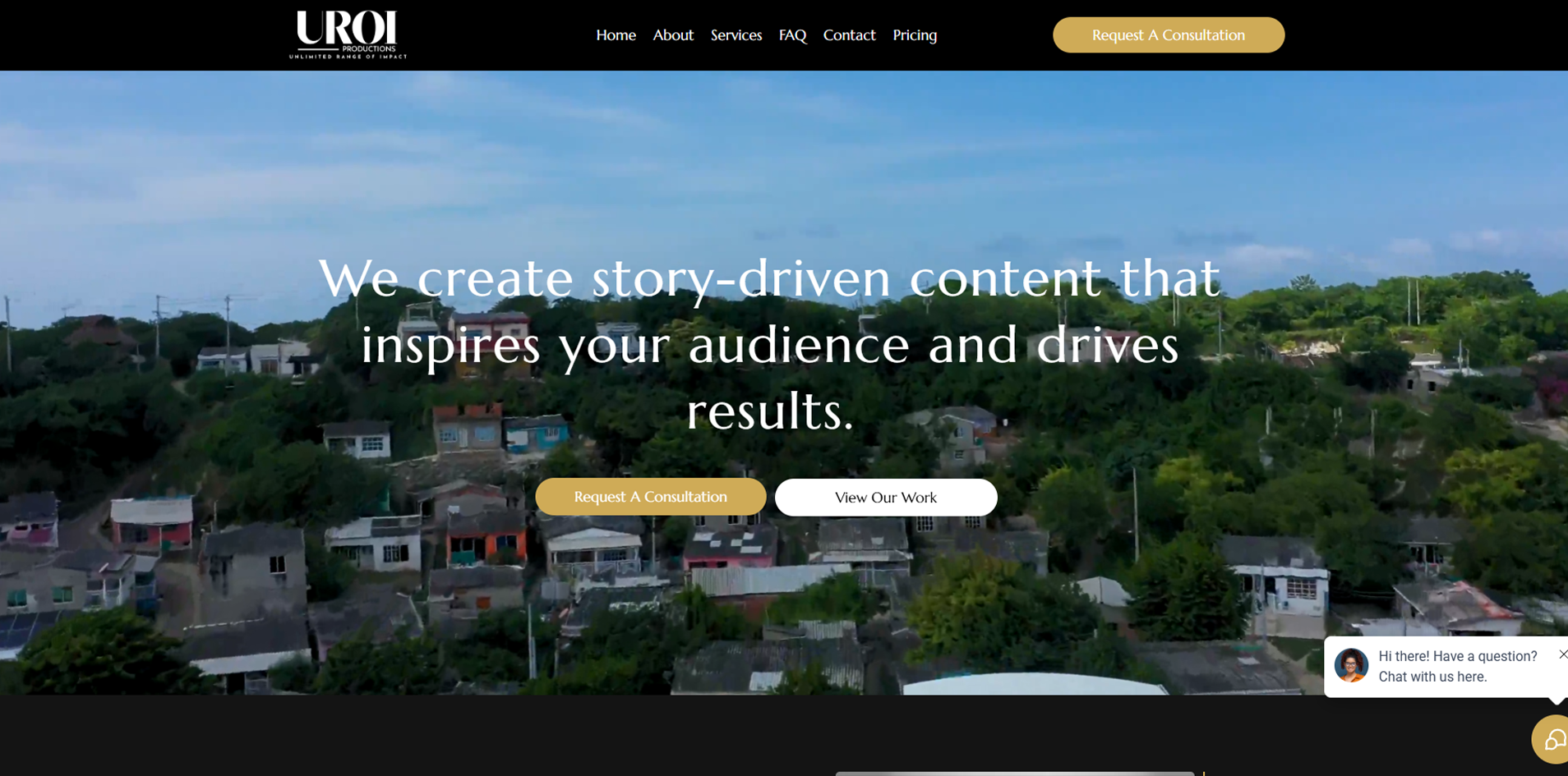 UROI Pro website